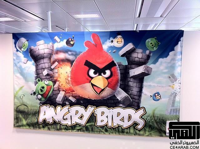 Angry Birds معشوقة الجماهير الآن على الكمبيوتر !!!