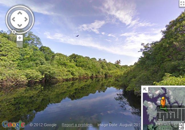 اكتشف سحر غابات الأمازون مع جوجل : Google Street View من قلب رئة الأرض