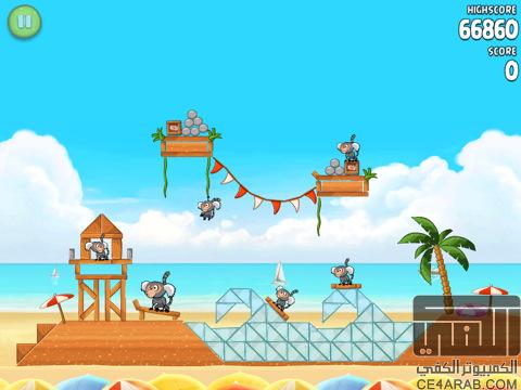 Angry Birds Rio HD Beach Volley وصلت للآيباد !!!