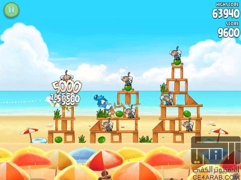 Angry Birds Rio HD Beach Volley وصلت للآيباد !!!